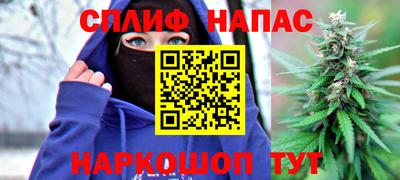 спайс Шелехов
