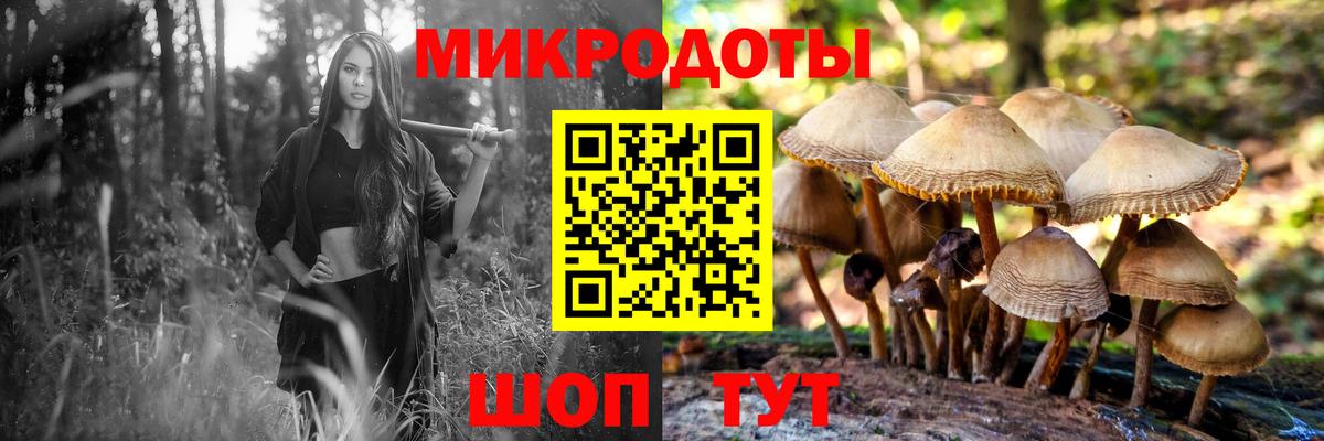 Галлюциногенные грибы GOLDEN TEACHER  Вход с VPN  Кумертау  Галлюциногенные грибы Psilocybine cubensis 
